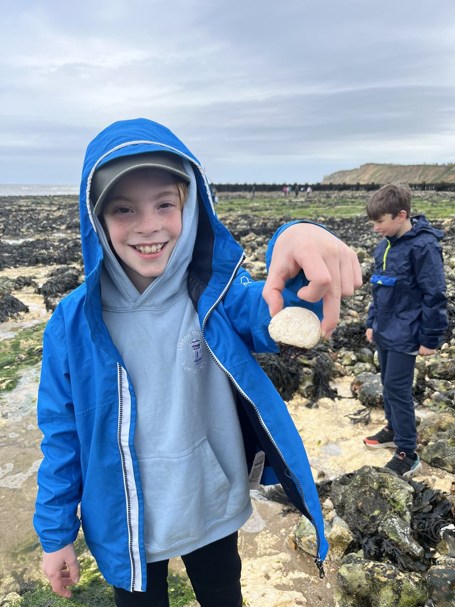Walking from West Runton to Cromer. Belemnite found, rock pools explored and Jakob found a rock with a beard!