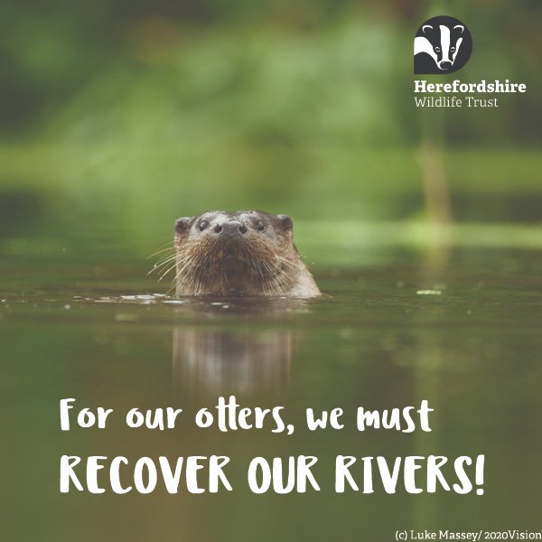 Herefordshire Wildlife Trust tweet media