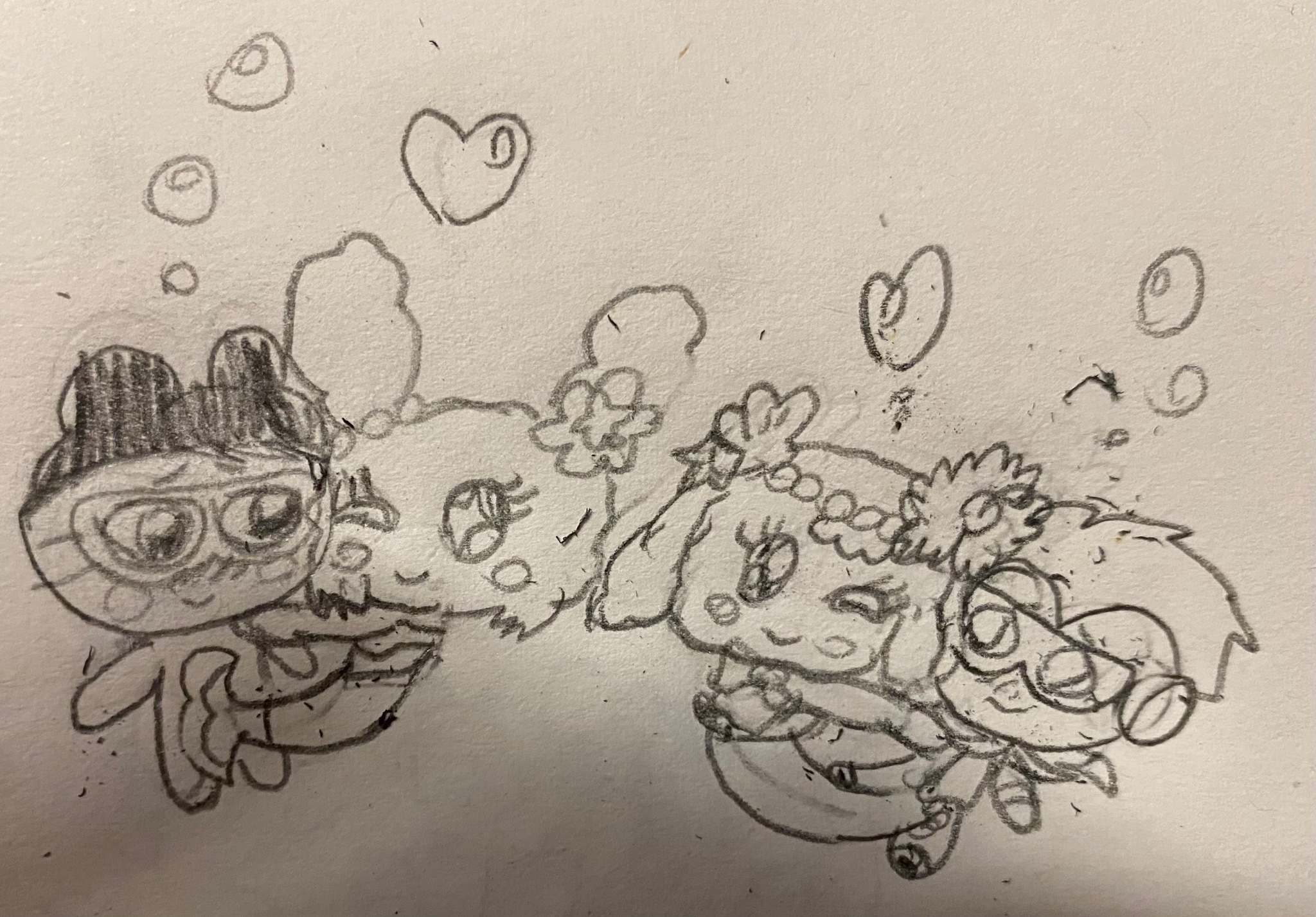 ♡♫様 まめラブ - অনুসন্ধান / X