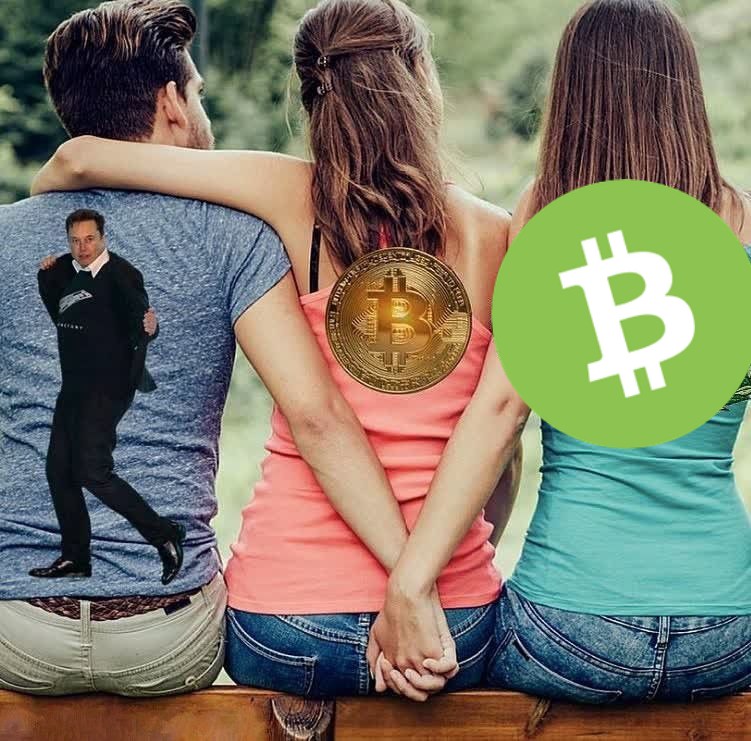 <a href="/bch_sun/">夏小栀</a> <a href="/Smartcashdao/">SmartBCH Dao</a> Happy anniversary. Been part of the community for so long, totally love $bch . So much potential to grow even far more. <a href="/elonmusk/">Elon Musk</a> knows 😂😂😂😂😂😂😂👇🏽👇🏽
#BCH #crypto #Nfts #bitcoincash #cryptocurrency #eth #bnb