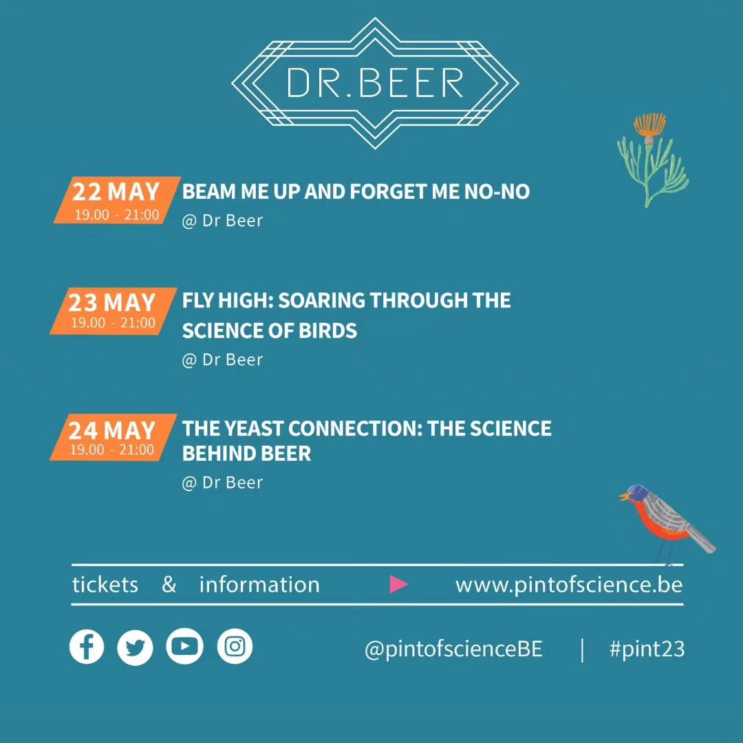 Tomorrow, I'll be happy to give a talk for the Pint of Science event in Antwerp!
About what?? Gulls of course! Foraging specialisation, movement and behavioural ecology, with a simple title :Would you rather eat fish or chips?' 🐟🍟 
@pintofscienceBE