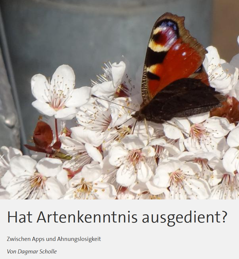 artenkenntnis's tweet photo. 📷
Danke an den Saarländischen Rundfunk und alle Beteiligten für das schöne Hörstück!
https://t.co/93xaNsA4fY
#foertax #arteneknntnis #saarländischerrundfunk #saarland #biodiversität #artenvielfalt #speciesliteracy https://t.co/C8q0ywodod