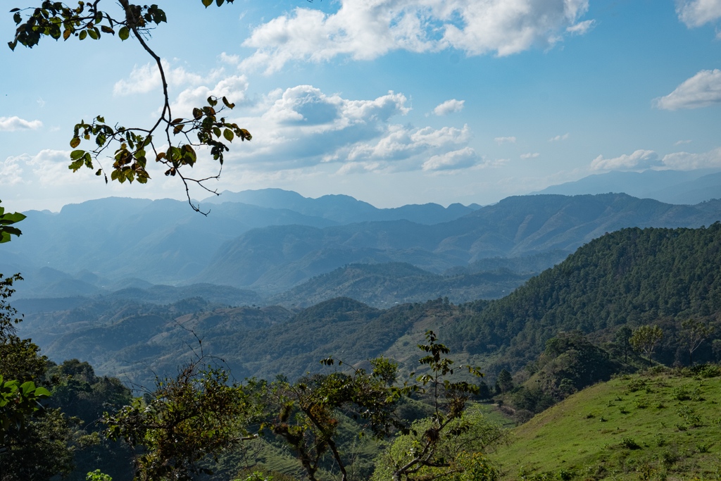 Scenes from Katia Duke's Finca San Isidro in Copán, Honduras.

You can find San Isidro Anaerobic Red Honey available now in our Reserve Lot collection and as green or roasted samples on our site! Visit the link to learn more.
bit.ly/3XCF8Rx