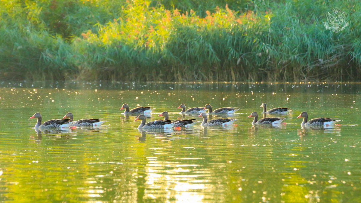RTStateDept: Everyday actions can help conserve 30 percent of our lands and waters by 2030. What is your #BiodiversityDay activity?un.org/en/observances…