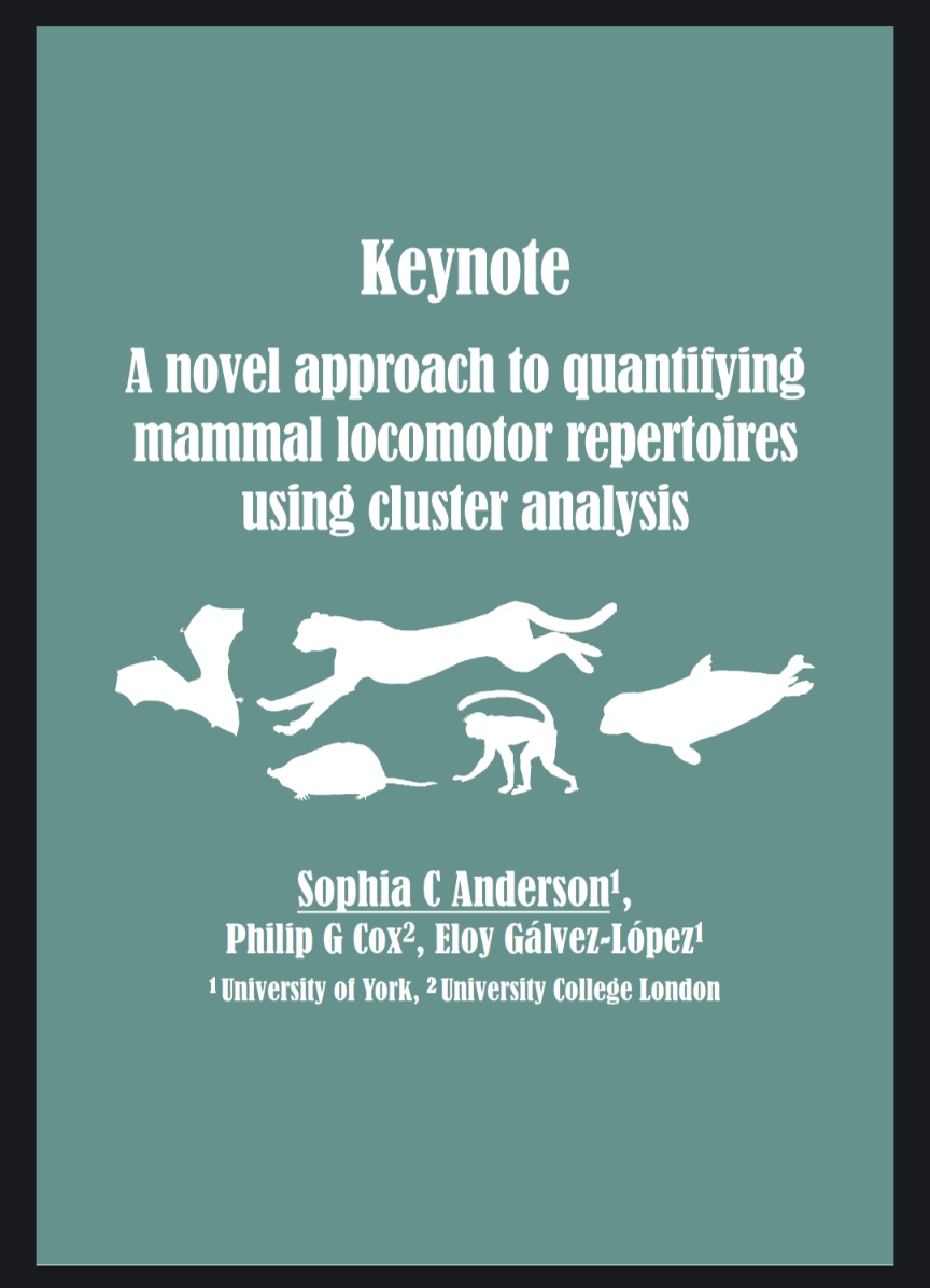 OsteoSophia's tweet image. That&apos;s right friends, I am the keynote speaker for #ProgPal2023! I&apos;m so excited to share my current work quantifying mammal locomotor repertoires! 🦥🦘🫏🦇🦦
See you all there!