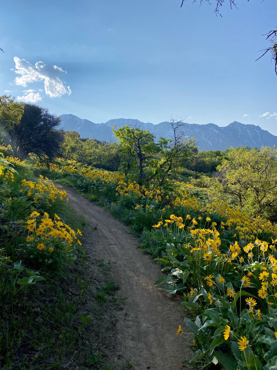 Dan Jimenez tweet media