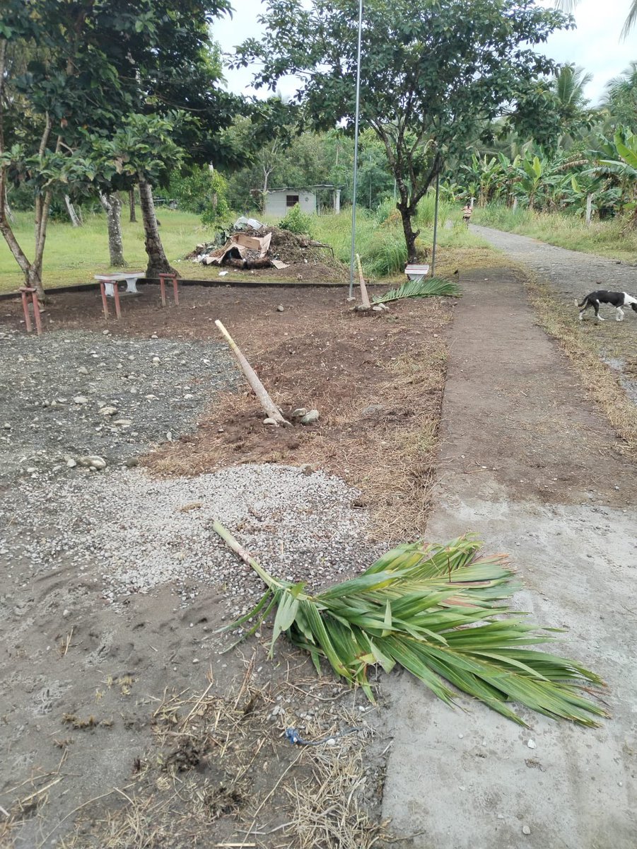AlcaldiadeBaru's tweet photo. Los trabajos de mejoramiento de terreno de un parque, que nuestro personal efectuaron éste domingo, en Kilómetros 32, corregimiento de Progreso, fue objeto de vandalismo. El objetivo era brindar un lugar de sano esparcimiento a la población. 

Lamentamos lo ocurrido! https://t.co/qCVCkJoUlf