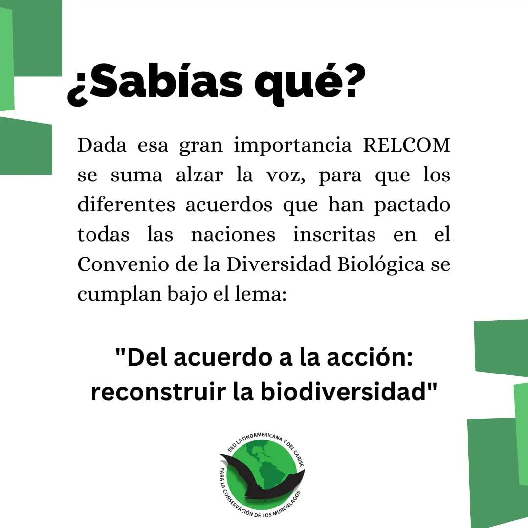🐒🦉🪼🦇22 de mayo - Día Internacional de la Diversidad Biológica🦋🌴🌳🪸

📆 Hoy conmemoramos el día Internacional de la Diversidad Biológica bajo el lema “Del acuerdo a la acción: reconstruir la Biodiversidad”.
#DiversidadBiológica #LATAM