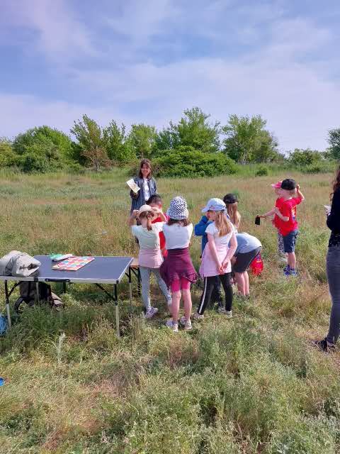 Computational Landscape Ecology tweet media