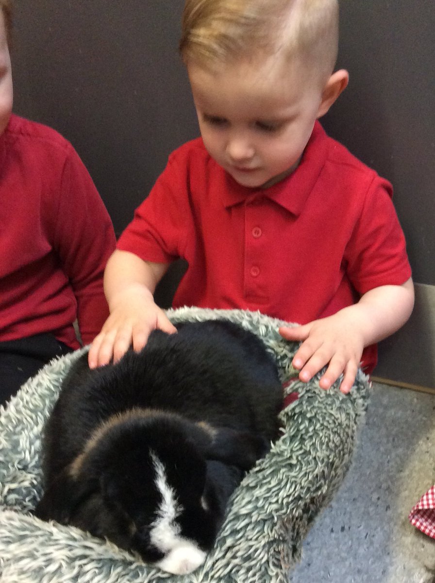 We have had a very special visitor in today from @LionLearners.  The children have really enjoyed learning about the different minibeasts and the soft cuddly rabbit.