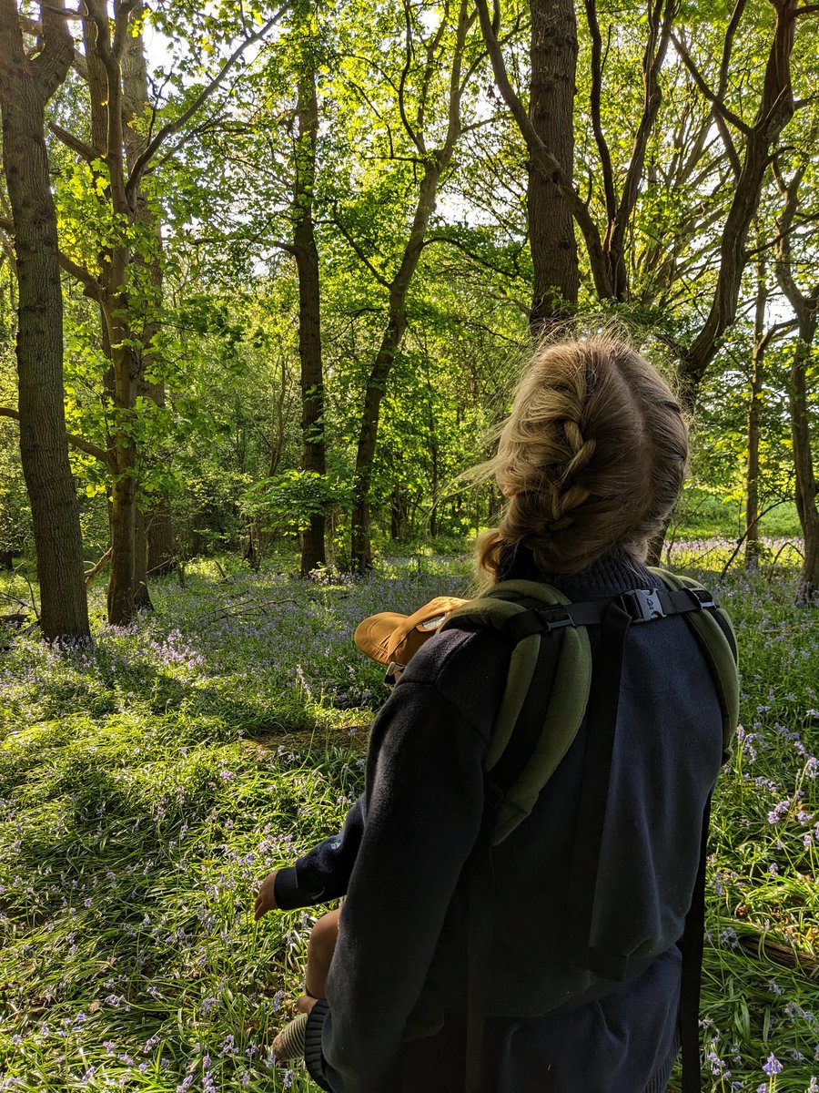 inkatiesgarden's tweet photo. Exploring with my little guy 🌳
When we walk under trees he constantly looks up at the treetops and puts his hands in the air trying to reach the leaves 💚
#inkatiesgarden #exploring #littleexplorer #babyandme #woodland #getexploring #ukforrest #wildlifepage #adventure https://t.co/bNzKOdv9Ch