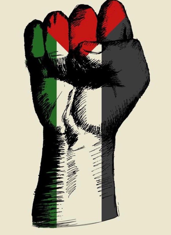 Serlizarazov's tweet photo. @HoyPalestina https://t.co/BXVFEo8KXO