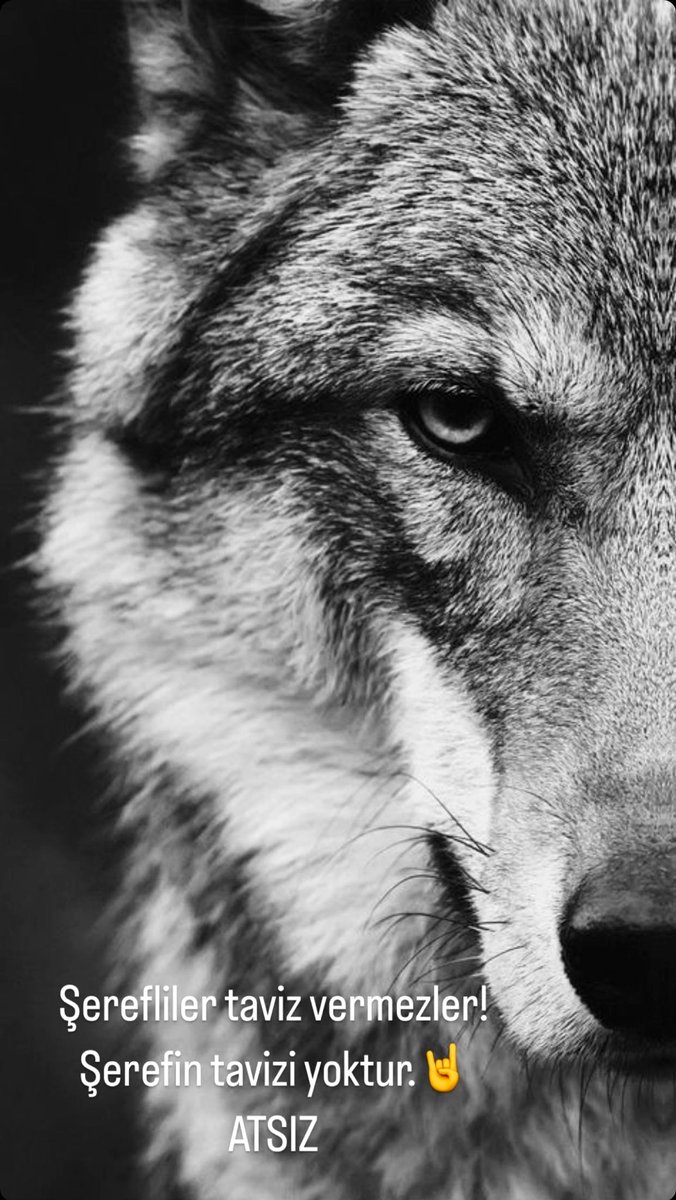 Tasma takılana Kurt denmez!