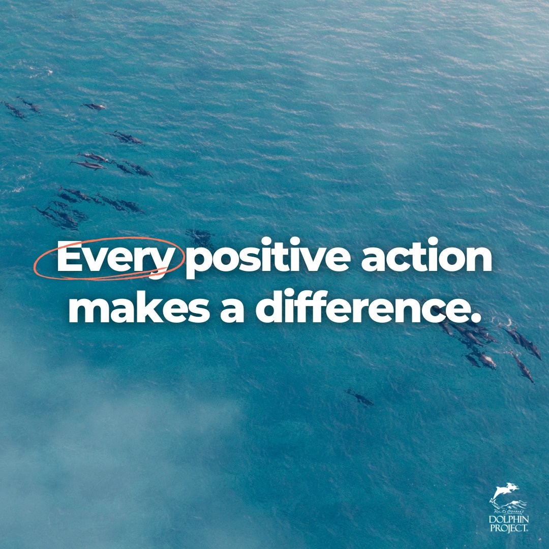 Dolphin_Project: It's up to all of us to continue raising awareness and moving others to action. Here are a few easy ways to take action today 🐬
➡️ Sign &amp; share #petitions: bit.ly/2F25Pr6 
➡️ Write to the authorities &amp; ask for an end to dolphin…