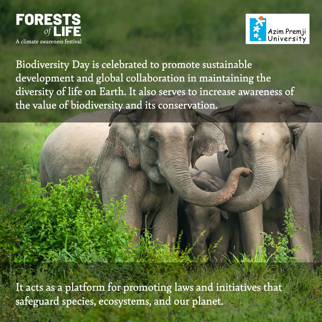 azimpremjiuniv's tweet photo. On this Biodiversity Day, it’s time to step back and rediscover the wonder of our mother nature. Stay tuned for further updates on the Forests of Life festival at https://t.co/UVcqsvoywQ
#ForestsOfLife #ForestsOfIndia #SaveOurForests #TreesOfIndia #BiodiversityDay2023 https://t.co/6p9Uf2YiWn