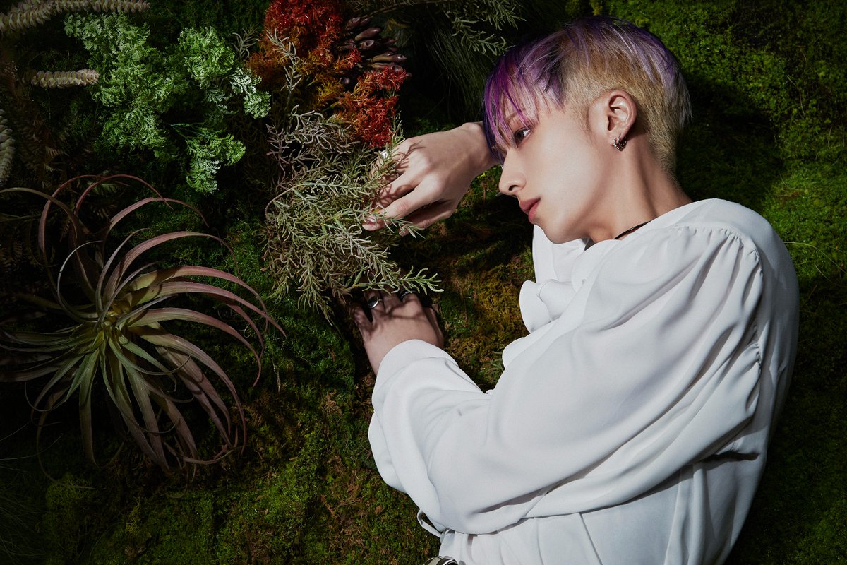 P1H_official's tweet photo. [HARMONY : ALL IN]
ALL IN ver. - #JIUNG

🌊 2023.06.08 6PM (KST)

#P1Harmony #피원하모니 #P1H #JUMP https://t.co/98U7S2tTOq