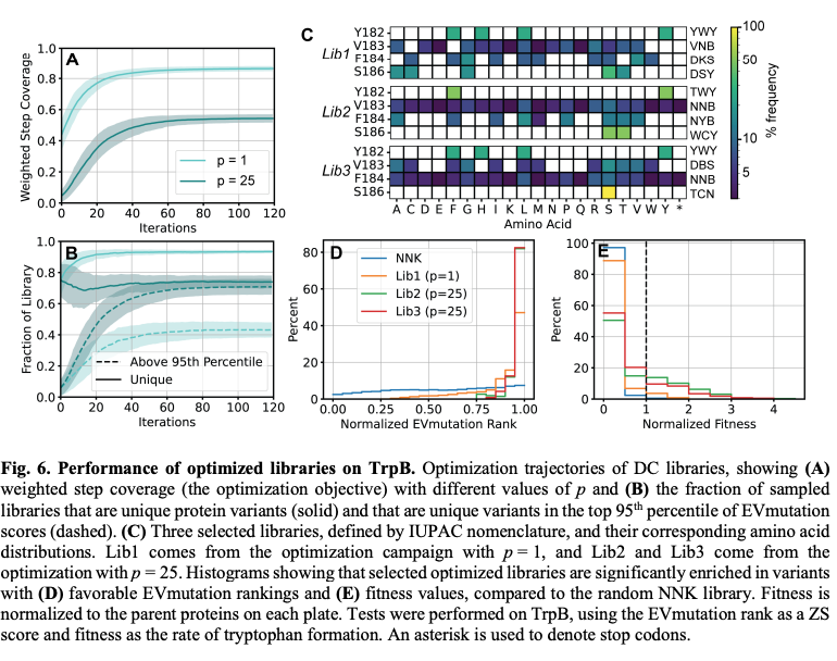 KevinKaichuang's tweet photo. A tunable method for optimizing degenerate codon libraries that sample protein variants that are likely to have both high fitness and high diversity. 

@jsunn_y Julie Ducharme @kadinaj @francescazfl @yisongyue @francesarnold 

https://t.co/9Ss032KKFh https://t.co/8eGAKhB52R