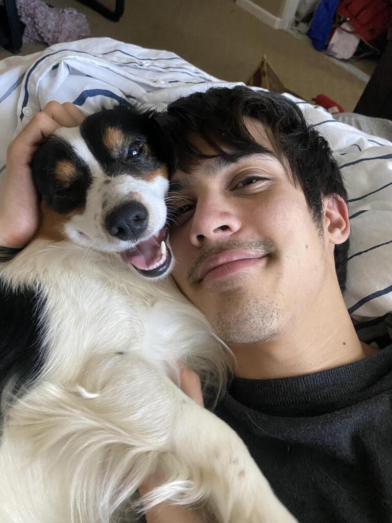 DogsGalaxy1's tweet photo. Cuties
#husky #huskytwitter #dog
#dogs #dogsoftwitter #dogsrule #lovedogs #chihuahua #doggy #pug #puglife #pugsoftwitter #puppy
#Funny #Happy #Top #Trending #Hot https://t.co/2wJgalNnaa