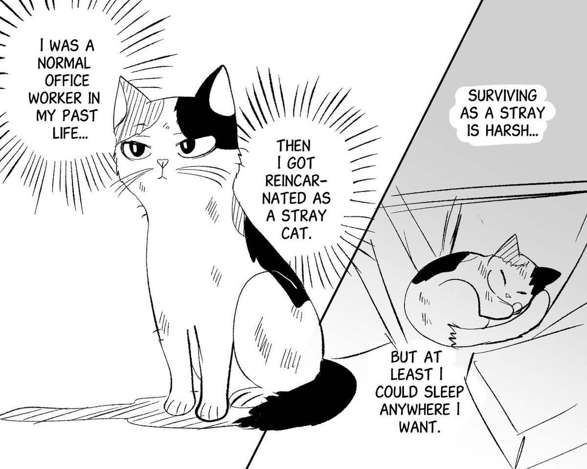 az_hanza's tweet photo. Part 1

It's a comedy-thriller about a cat who constantly thinks its owner is a serial killer 👀 https://t.co/VAlU8pSx86