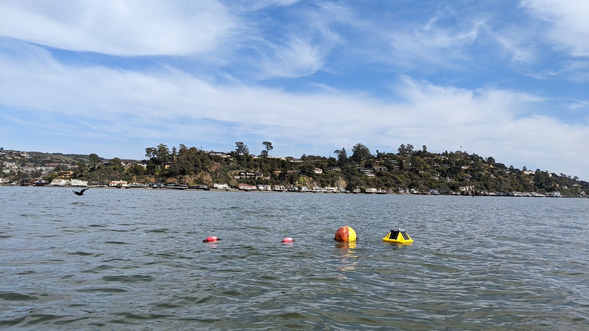 We are excited to be getting real-time wave data from Richardson Bay. The wave buoy is combined with other non-real-time wave sensors along the shorelines for a comprehensive look at the waves in the bay. It's hard to beat the view from this field site!