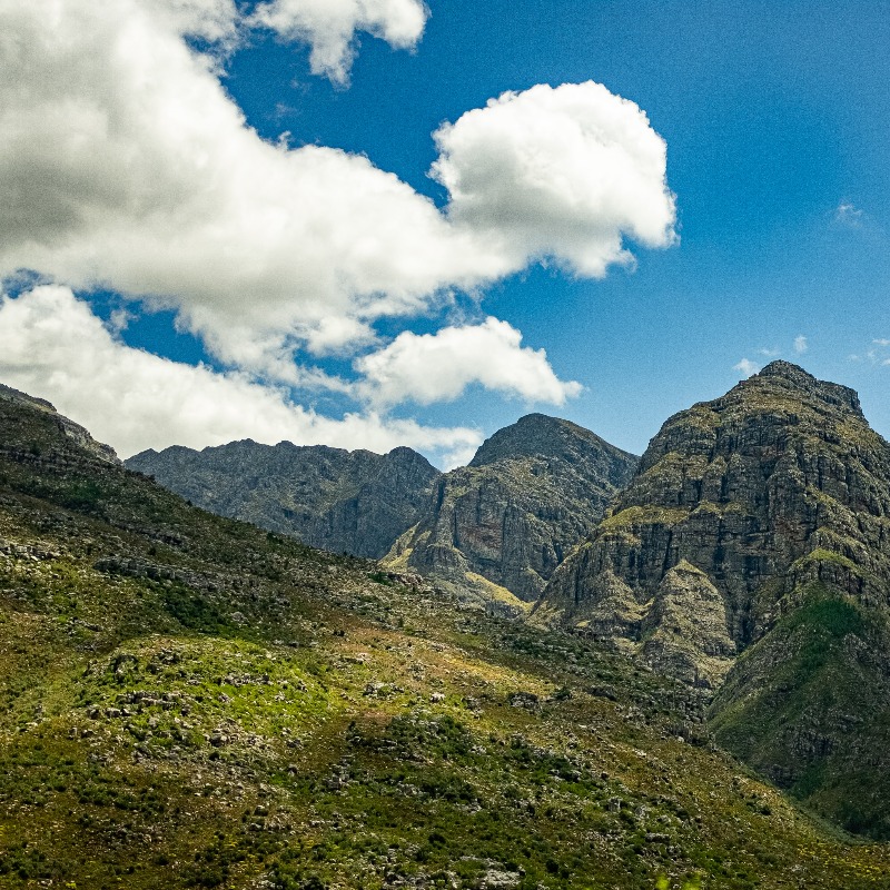 Envision_Racing's tweet photo. Today is World Biodiversity Day 🌱

By committing to more sustainable practices, we can all play our part and help protect the world's biodiversity. 

Join in by making a climate pledge today! 🌍 #WorldBiodiversityDay