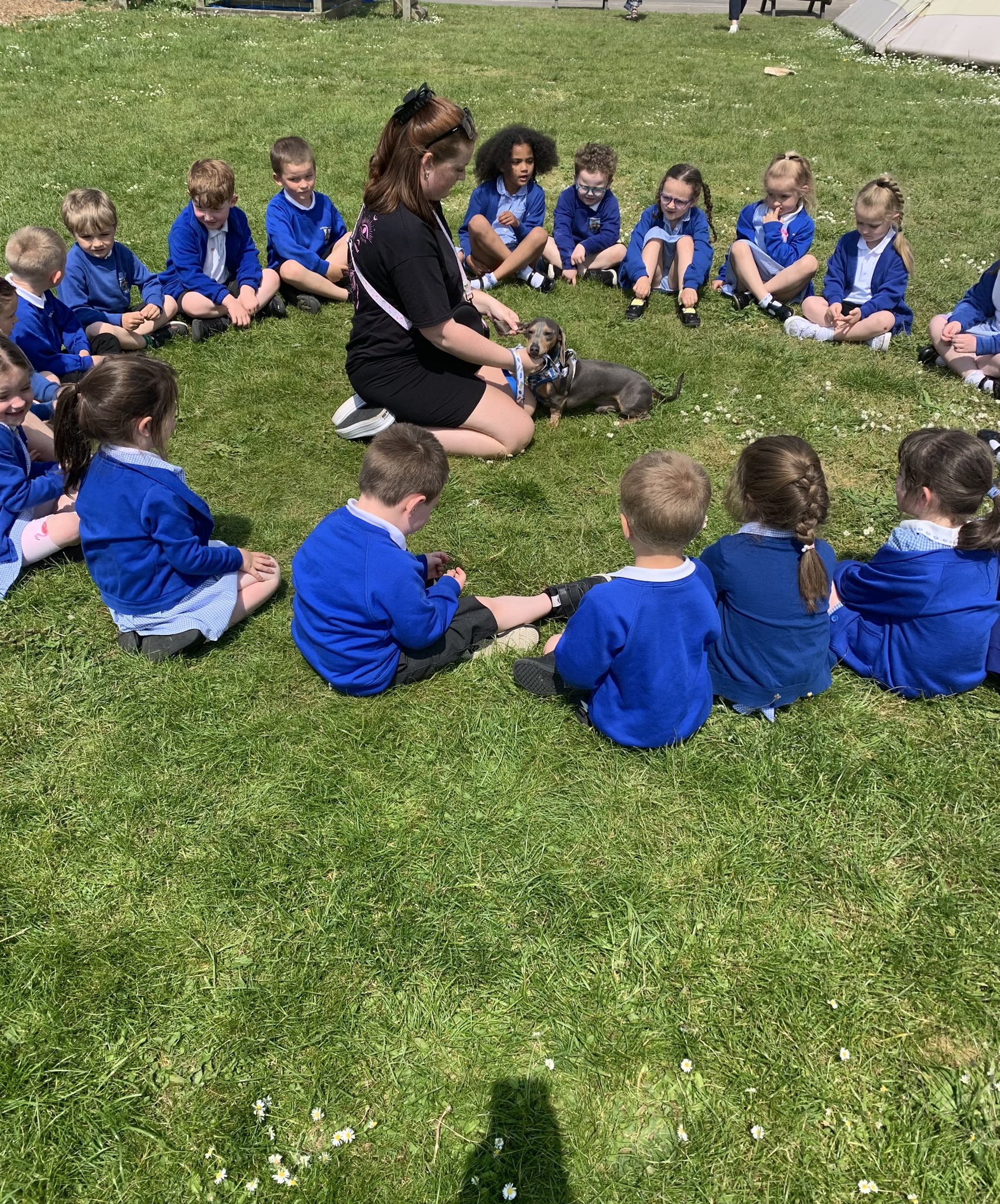rhws-primary-school-on-twitter-reception-have-had-some-amazing-pet