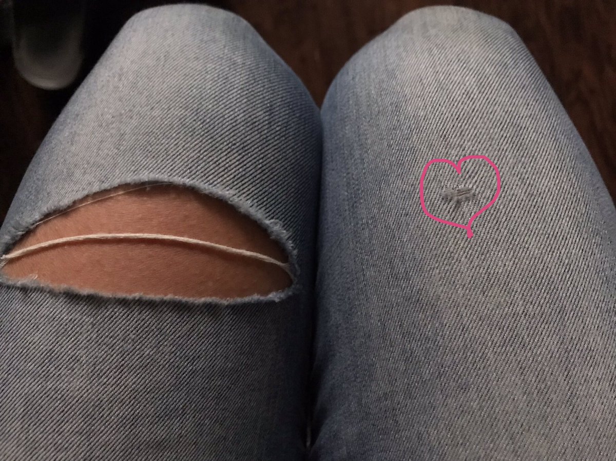 Ari Scott tweet media