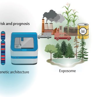 EvaFeldmanMDPhD's tweet image. Did you know that certain professions have been found to have increased prevalence or risk of ALS?

Veterans have a higher-than-normal rate of ALS, and last year we found that production occupations have a higher risk of ALS due to exposure to toxins.
#ALSAwarenessMonth
