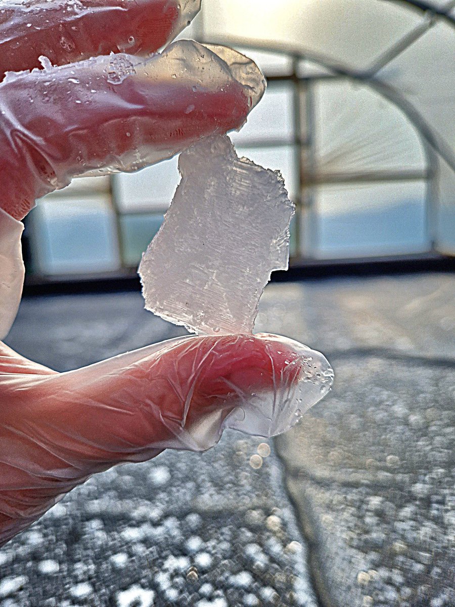 When all you want to do is take photos of your salt flakes but your phone keeps trying to scan it as a QR code. A sign of a cracker of a harvest 👌 just in time for @FeisIle
<a href="/LtdOrsay/">Orsay Sea Salt ltd</a> #islay #seasalt