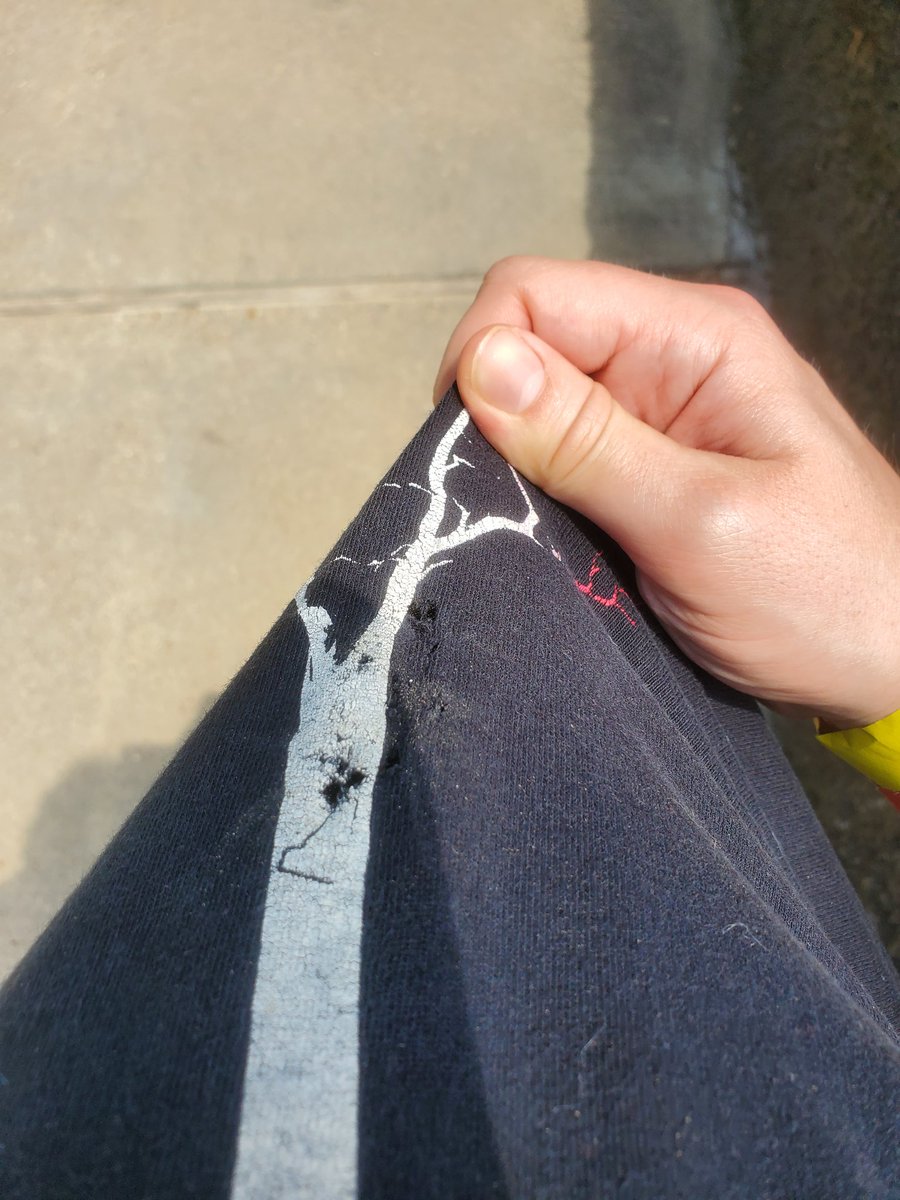 Axelthebigdog's tweet image. Capybara monched my shirt, can&apos;t have shit in Florida