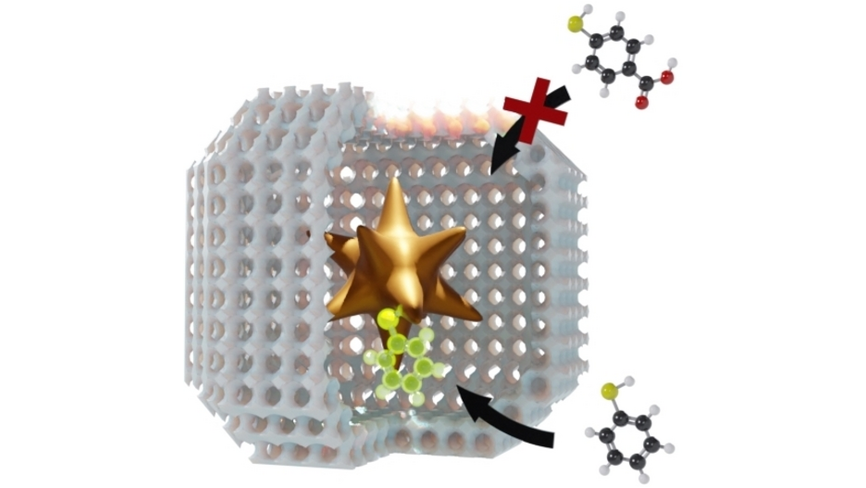 Yolk-Shell Nanostars@#MetalOrganicFramework|s as Molecular Sieves for Optical Sensing and Catalysis (Ramon A. Alvarez-Puebla and co-workers) <a href="/MACorreaDuarte/">Miguel A Correa-Duarte</a> onlinelibrary.wiley.com/doi/10.1002/an…