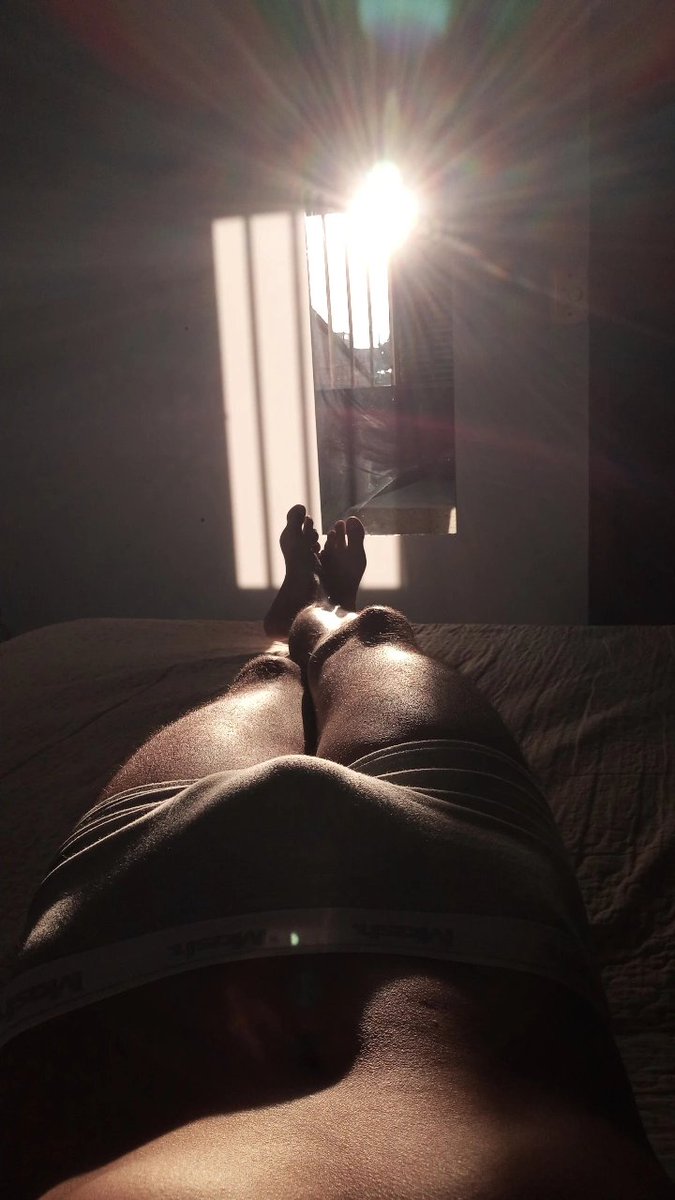Wayferrer_'s tweet photo. 🌻😼 https://t.co/ljAzKkgmFO