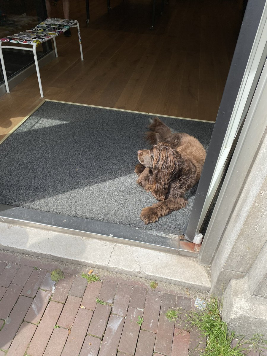 apfelian's tweet photo. 犬飼いたい
Rush hourの看板犬 https://t.co/GuiYVc8mtp