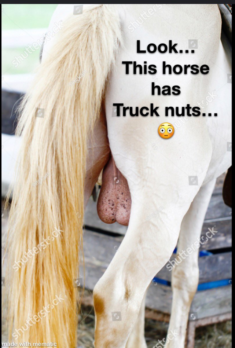 I’m just going to leave this here 😝