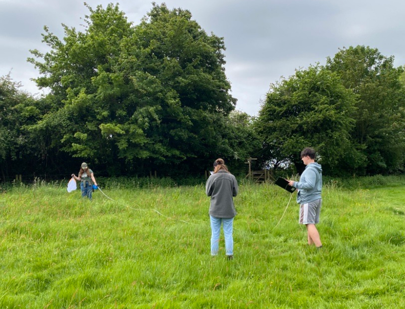 chi_stemgems's tweet photo. Environmental Science A Level students enjoyed a morning in the field today at Fishbourne Meadows working on stratification and sampling of plants and species 🌳🧭 https://t.co/z5nEB7D4x4
