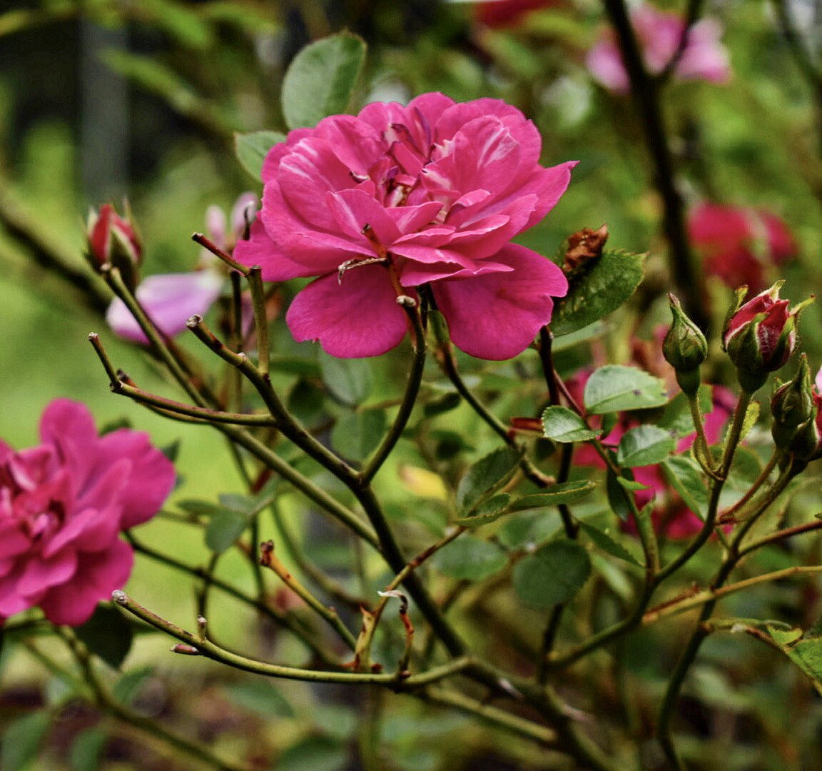 Mike Warner tweet media