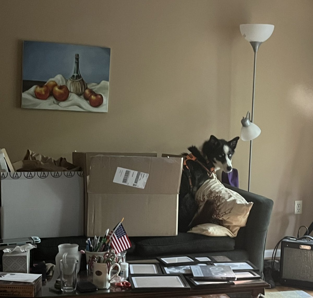 I’m dogsitting this week and I have been covering my couch with boxes to keep her from sneaking up there at night. It hasn’t been working.
