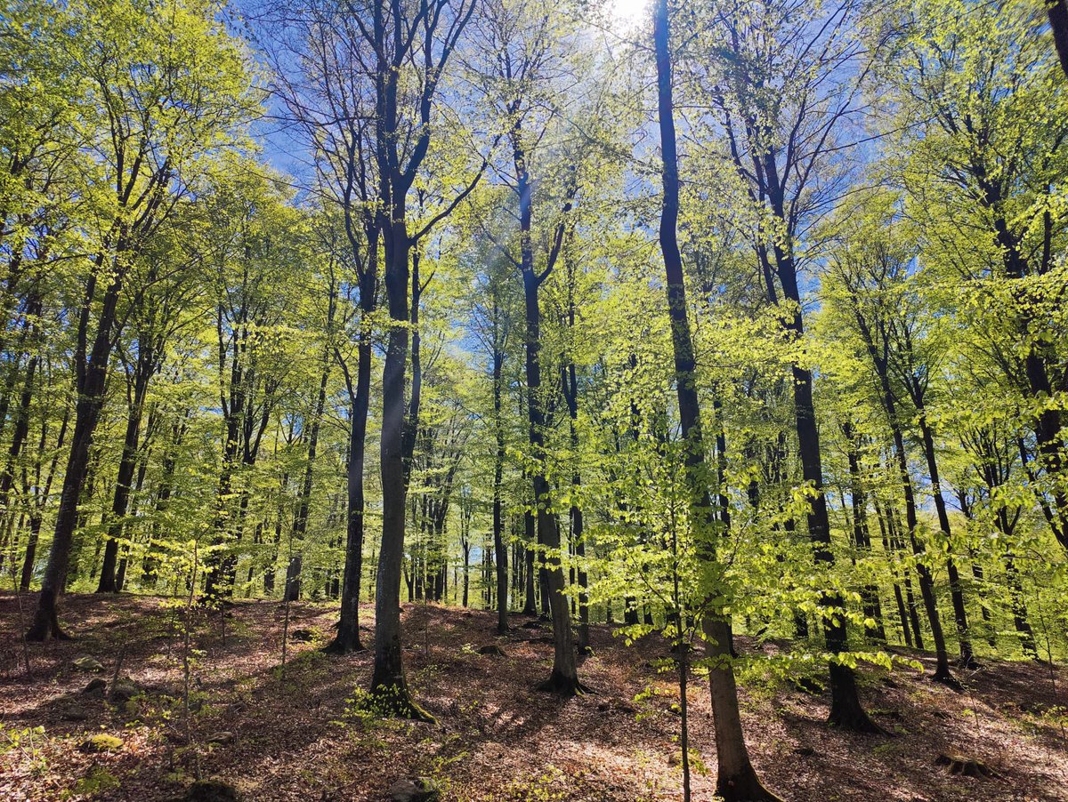 Today is the International Day for #Biodiversity. Our planet has limited resources and global cooperation is vital. Sweden is committed to the UN Convention on Biological Diversity. Preservation of biodiversity goes hand-in-hand with fighting poverty. <a href="/SwedeninJO/">Sweden in Jordan</a> <a href="/Sida/">Sida</a>