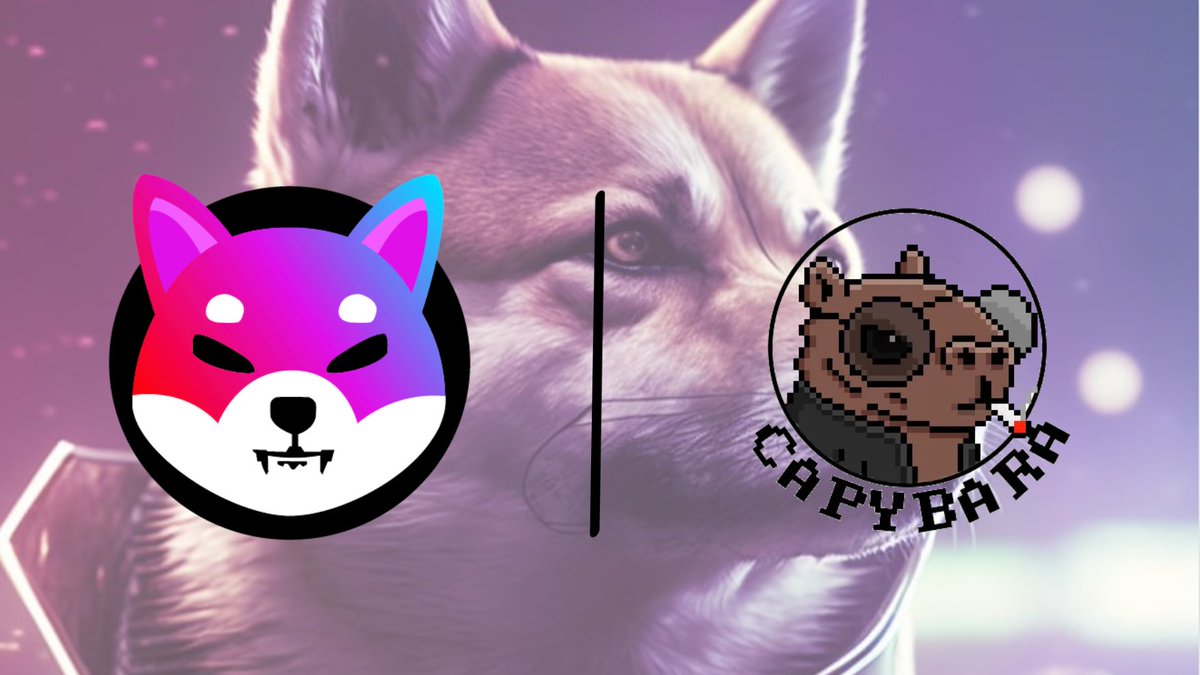 Purple Shib tweet media