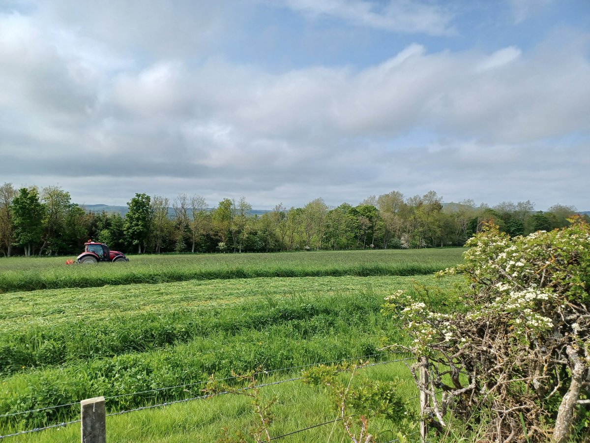 WhitriggsLesley's tweet photo. Slightly different obligatory "Whitriggs silage is go" photos for me this year.  Hip op recovery is going well, and hopefully, I'll be back on the right side of the fence soon for the second cut. https://t.co/KhST4sGtpU