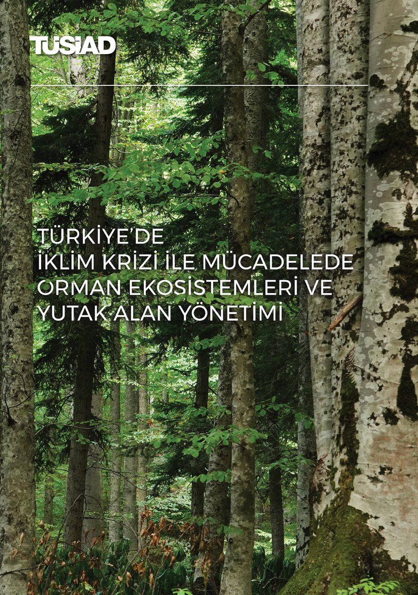 📢TÜSİAD tarafından Doğa Koruma Merkezi'nin içerik paydaşlığında hazırlanan “Türkiye’de İklim Krizi ile Mücadelede Orman Ekosistemleri ve Yutak Alan Yönetimi" raporu bugün tanıtıldı. <a href="/dkm_dogakoruma/">Doğa Koruma Merkezi</a>

Konuyla ilgili basın bülteni için: 🔗tusiad.org/tr/basin-bulte…