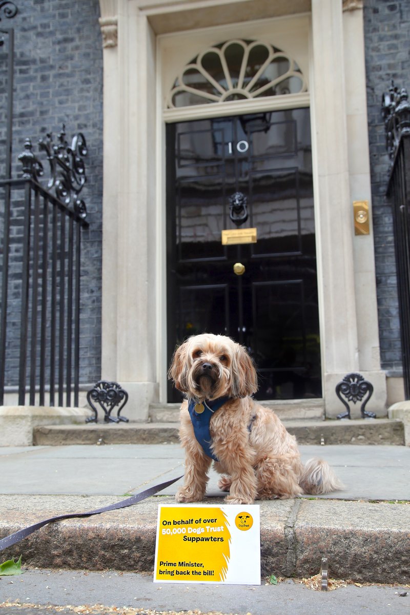 DogsTrust's tweet photo. For over 18mths, we've been waiting for the #KeptAnimalsBill to be brought back to Parliament. Today, we delivered a letter directly to @RishiSunak on the urgent need to pass the Bill, co-signed by over 50K members of the public 👇💛  More on the Bill ➡️ https://t.co/6SzXGzHEXA https://t.co/2HW1w8FgvY