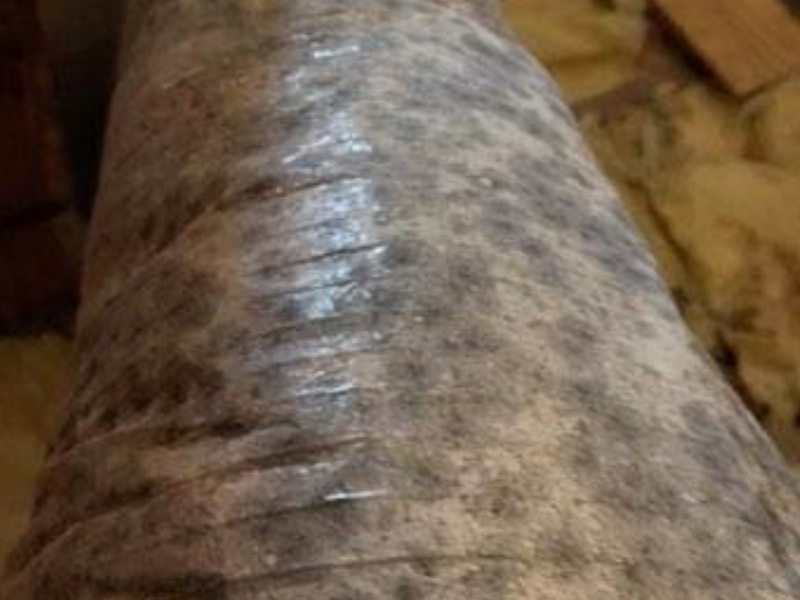 callcleanpro's tweet image. HVAC Mold Removal 02  #cleanpro #cleanprorestoration