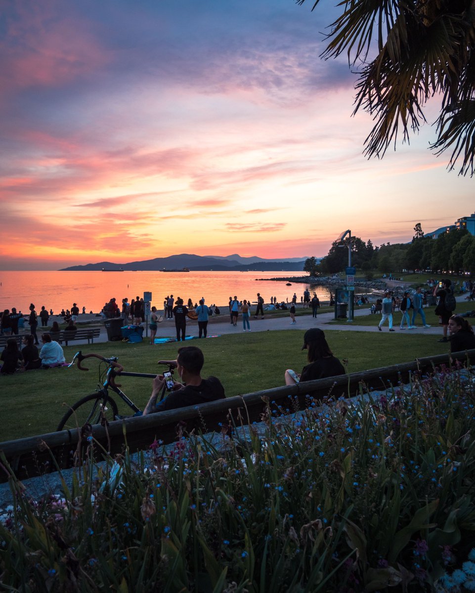dexterrealty's tweet photo. A long weekend is a time to slow down and enjoy the simple pleasures in life. Happy Victoria Day from all of us! 

#longweekend #victoriaday #yvrre #vanrealtor #vanre #BCRE #vancityrealestate #yvrrealestate #yvrrealtors #yvrrealtor #vancouverre #vancouverrealestate https://t.co/ixh9xsDpCm