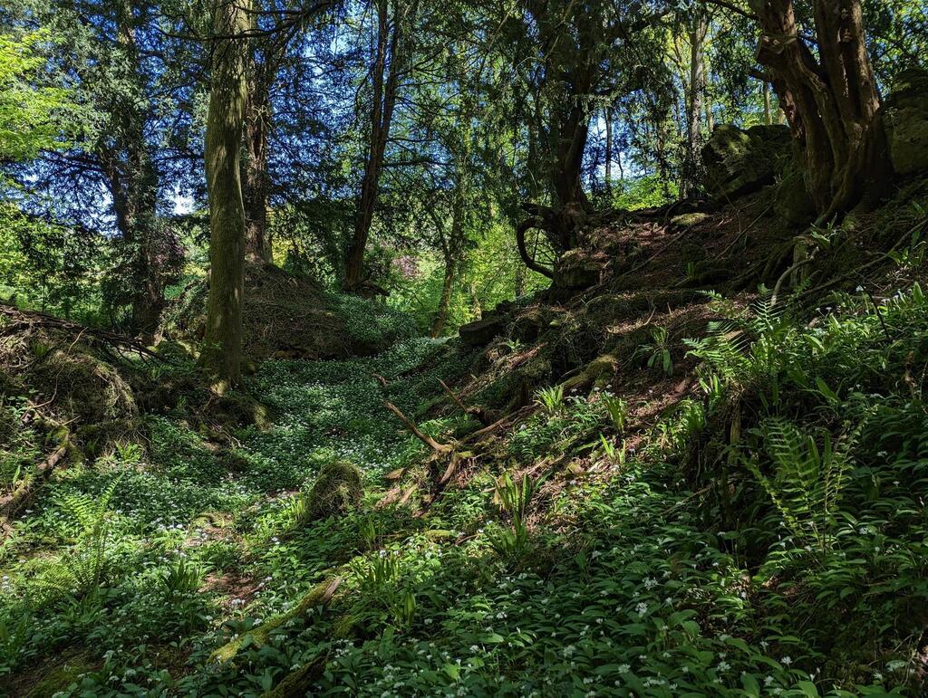 neoyia2's tweet photo. Puzzlewood, Forest of Dean, England [oc, 4080 X 3072] via https://t.co/hQt0lXWoFf https://t.co/oO2aflg23F