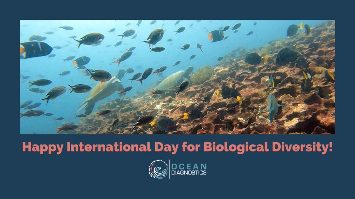 Ocean Diagnostics tweet media