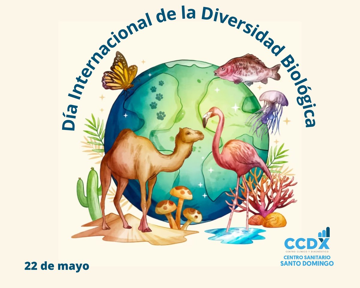 ccdx_rd's tweet photo. El Día Internacional de la Diversidad Biológica se celebra el 22 de mayo de cada año.
Fue decretado por la Organización de las Naciones Unidas (ONU), con el objetivo de crear conciencia acerca de la importancia que tiene la biodiversidad para los seres humanos.
#CCDX
#Efemerides https://t.co/ITUNJmSShY