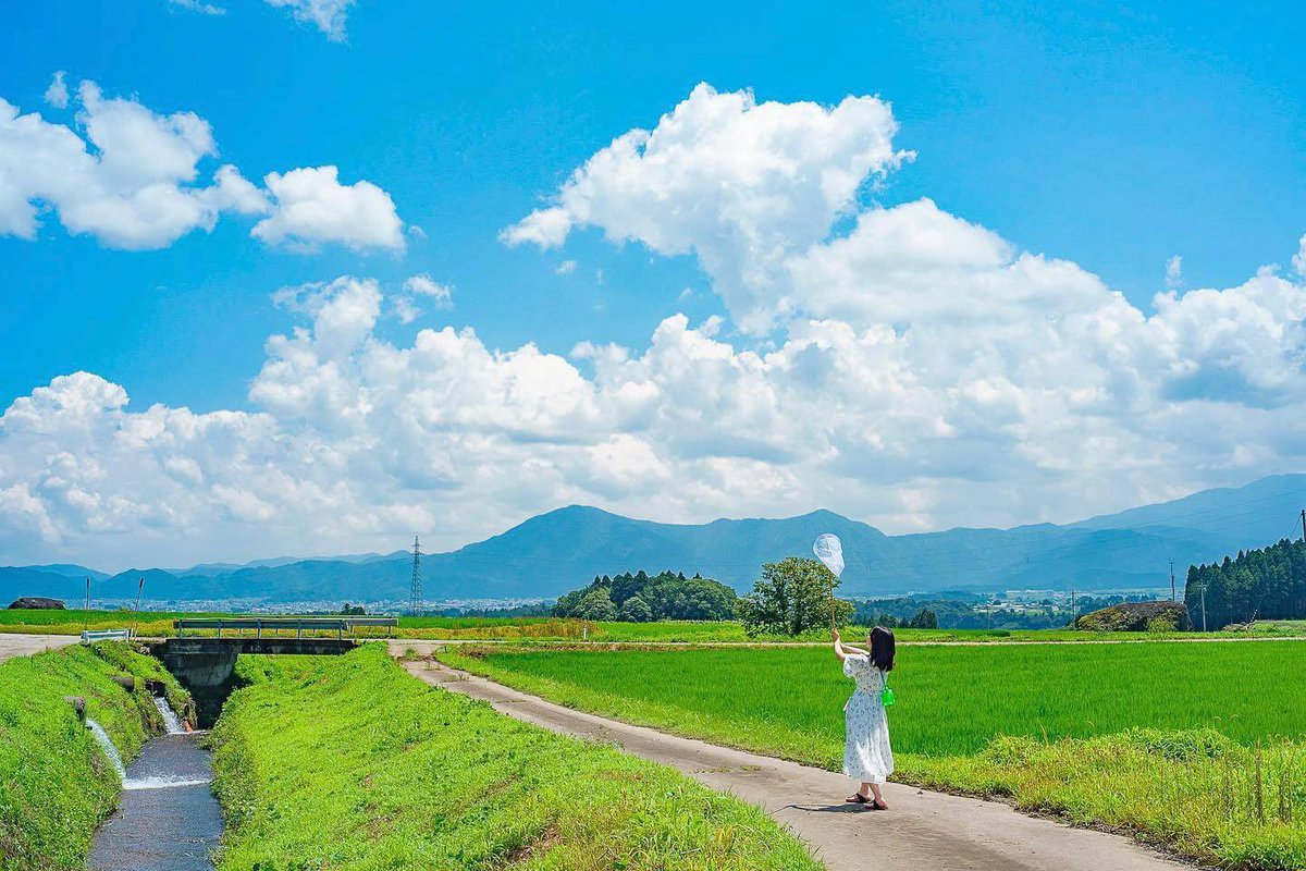 colangeloTest's tweet image. If you never do what is beyond your ability, then you will never make progress.