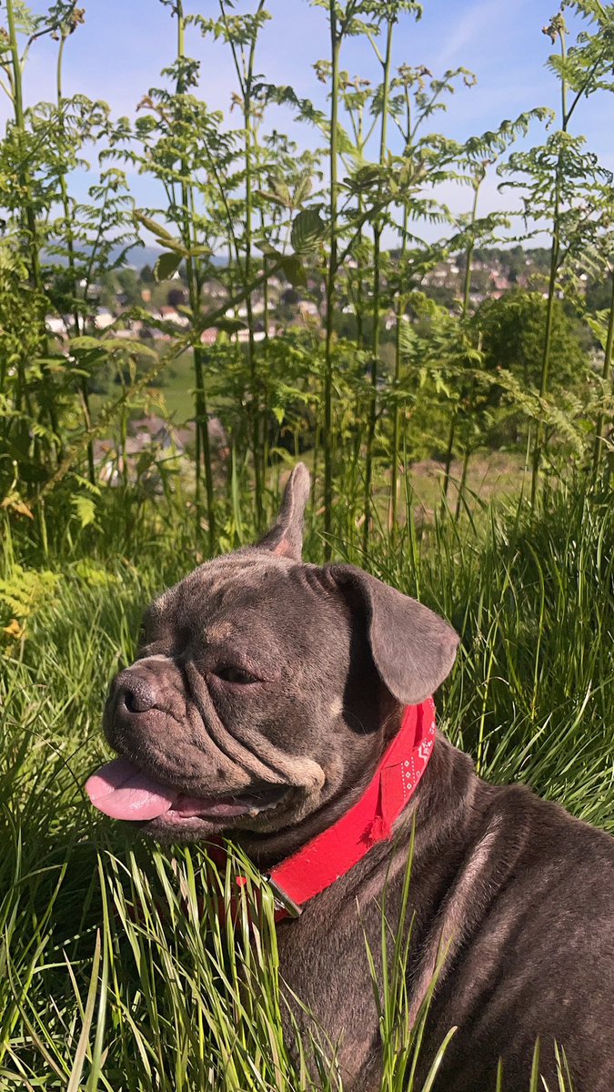 Arron Carson tweet media