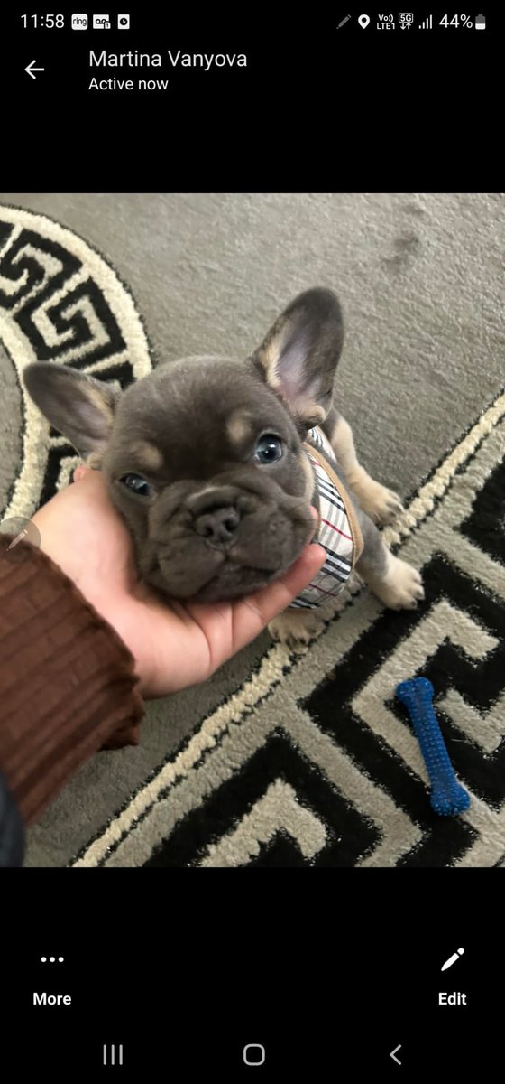 Arron Carson tweet media